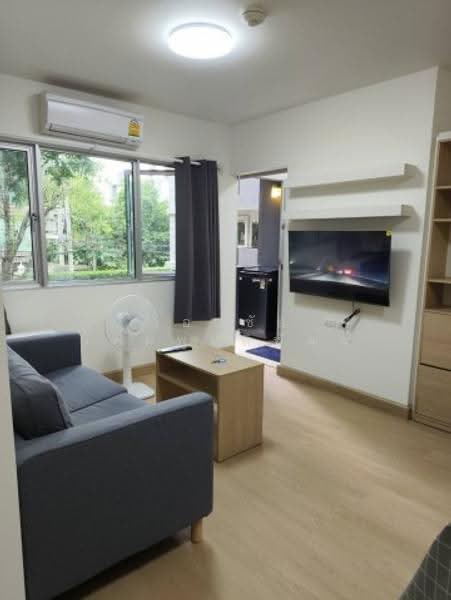 My Condo Sukhumvit 81 : มายคอนโด สุขุมวิท81, กรุงเทพ, ซอยสุขุมวิท 81 ถนนสุขุมวิท, บางจาก, พระโขนง, กรุงเทพ, 35 ตร.ม., คอนโด ให้เช่า, โดย เอกชัย เพิ่มพูนพิพัฒน์, 500596910 - DDproperty.com