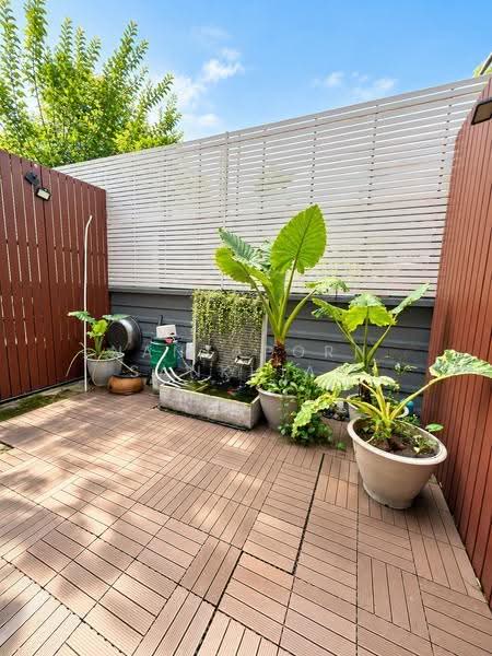 Arden Rama 3, bangkok, 33 Yan Nawa Road, Chong Nonsi, Yan Nawa, Bangkok, 3 Bedrooms, 220 sqm, Townhouse For Rent, by Nantaporn Sankhiao, 500597069 - DDproperty.com