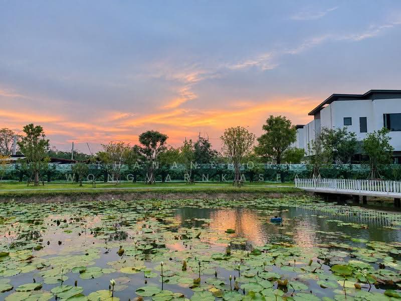 The Arbor Donmueang-Chaengwatthana : ดิ อาเบอร์ ดอนเมือง-แจ้งวัฒนะ, นนทบุรี, 179 ถนนเลียบคลองประปา, บ้านใหม่, ปากเกร็ด, นนทบุรี, 250 ตร.ม., บ้านเดี่ยว ขาย, โดย Thananthorn Wongvarnkaseam, 500597104 - DDproperty.com