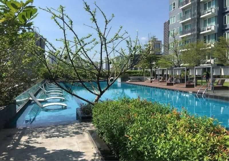 Siri At Sukhumvit, bangkok, 902 Sukhumvit Road, Phra Kanong, Khlong Toei, Bangkok, 1 Bedroom, 52 sqm, Condo For Rent, by Sataporn Jalao, 500597117 - DDproperty.com
