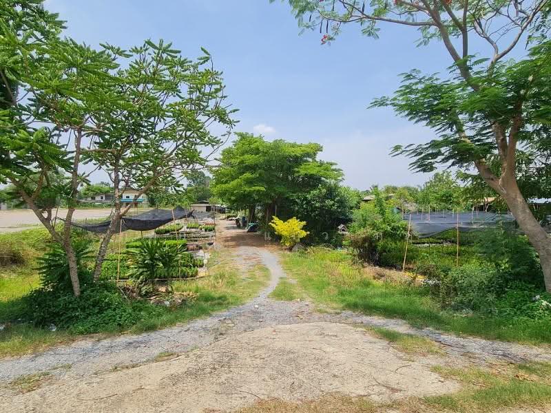 ที่ดิน, นนทบุรี, -, บางใหญ่, นนทบุรี, 9,912 ตร.ม., ที่ดิน ขาย, โดย ภคภพ แก้วเกตุ, 500597351 - DDproperty.com