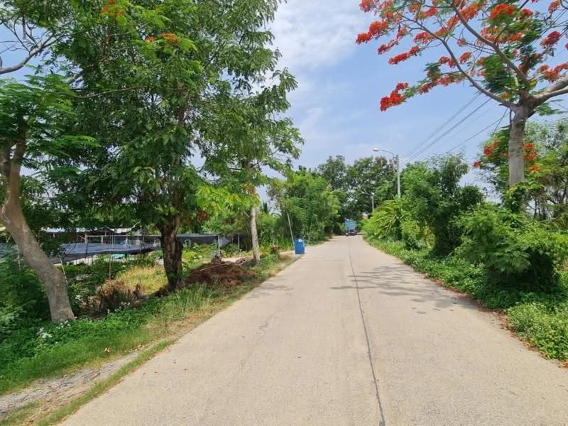 ที่ดิน, นนทบุรี, -, บางใหญ่, นนทบุรี, 9,912 ตร.ม., ที่ดิน ขาย, โดย ภคภพ แก้วเกตุ, 500597351 - DDproperty.com