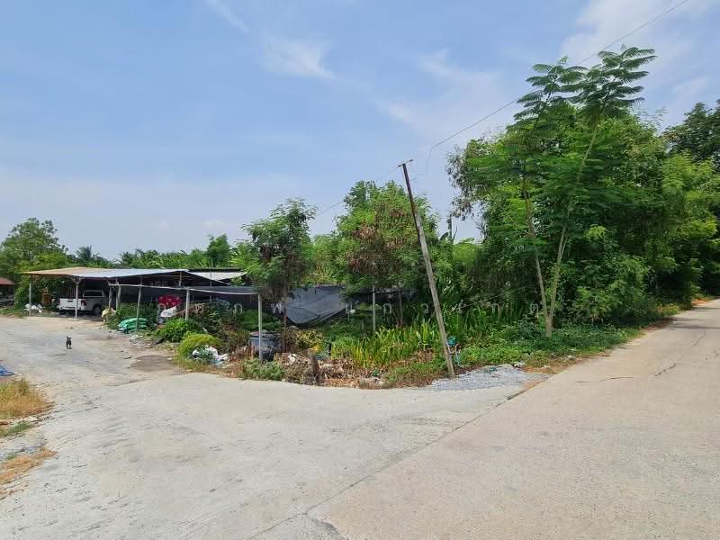 ที่ดิน, นนทบุรี, -, บางใหญ่, นนทบุรี, 9,912 ตร.ม., ที่ดิน ขาย, โดย ภคภพ แก้วเกตุ, 500597351 - DDproperty.com