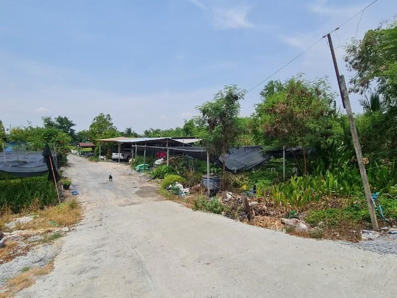 ที่ดิน, นนทบุรี, -, บางใหญ่, นนทบุรี, 9,912 ตร.ม., ที่ดิน ขาย, โดย ภคภพ แก้วเกตุ, 500597351 - DDproperty.com