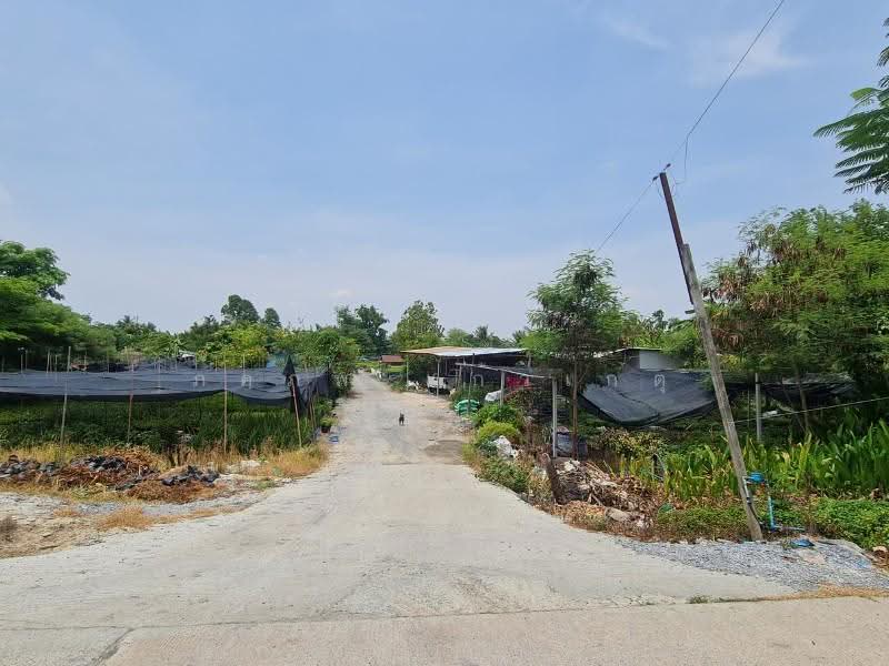 ที่ดิน, นนทบุรี, -, บางใหญ่, นนทบุรี, 9,912 ตร.ม., ที่ดิน ขาย, โดย ภคภพ แก้วเกตุ, 500597351 - DDproperty.com