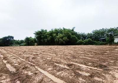 ขาย - ที่ดินสว่างแดนดิน สกลนคร, สกลนคร