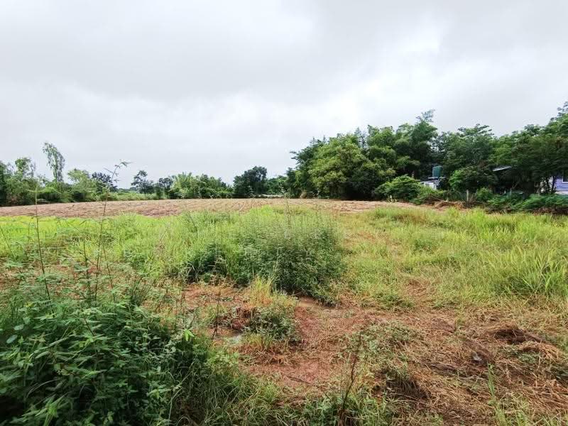 ที่ดินสว่างแดนดิน สกลนคร, Sakon Nakhon, Sawang Daen Din, Sakon Nakhon, , 4,396 sqm, Land For Sale, by The Best Property ทราย, 500597515 - DDproperty.com