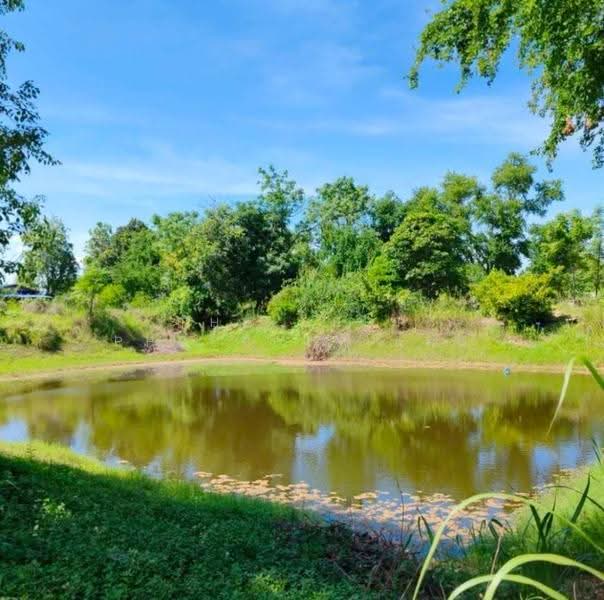 ที่ดินบ้านหมอ สระบุรี, สระบุรี, หนองบัว, บ้านหมอ, สระบุรี, 8,104 ตร.ม., ที่ดิน ขาย, โดย The Best Property แมะ, 500597571 - DDproperty.com