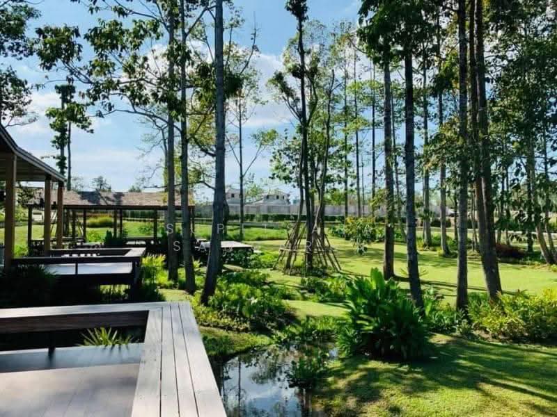 Life In The Garden Rongpo-Motorway, Chon Buri (Pattaya), Soi Bang Lamung 25 (Rong Po), Ta Khian Tia, Bang Lamung (Pattaya), Chon Buri (Pattaya), 4 Bedrooms, 220 sqm, Single Detached House For Rent, by Supitsara Sangarun, 500597614 - DDproperty.com