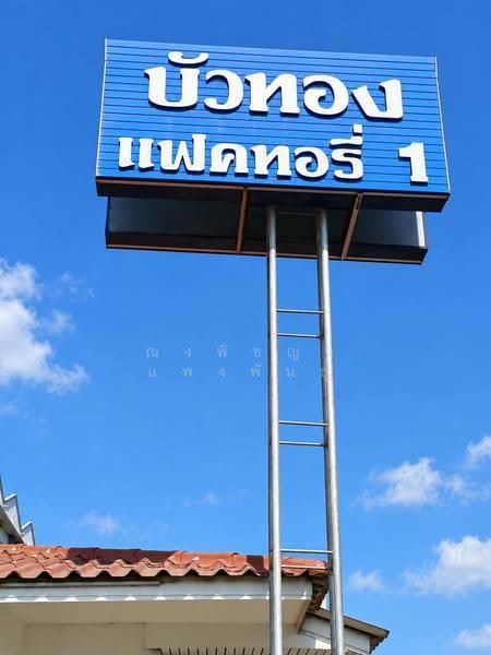 Buathong Factory 1 Minifactory and Warehouse for Rent Bang, BuaThong, nonthaburi, บางกรวย-ไทรน้อย, Bang Rak Pattana, Bang Bua Thong, Nonthaburi, , 500 sqm, Warehouse/Factory For Rent, by Nongpichaya Pangpun, 500597627 - DDproperty.com