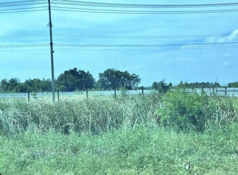 ขายที่ดินเปล่าถมแล้วล้อมรั้วพร้อม ทำเลเยี่ยม ใกล้โซนอุตสาหกรรม, samut-prakan, Bang Pla, Bang Plee, Samut Prakan, , 5,632 sqm, Land For Sale, by Patcharaporn Silprasert (Patcha), 500597680 - DDproperty.com