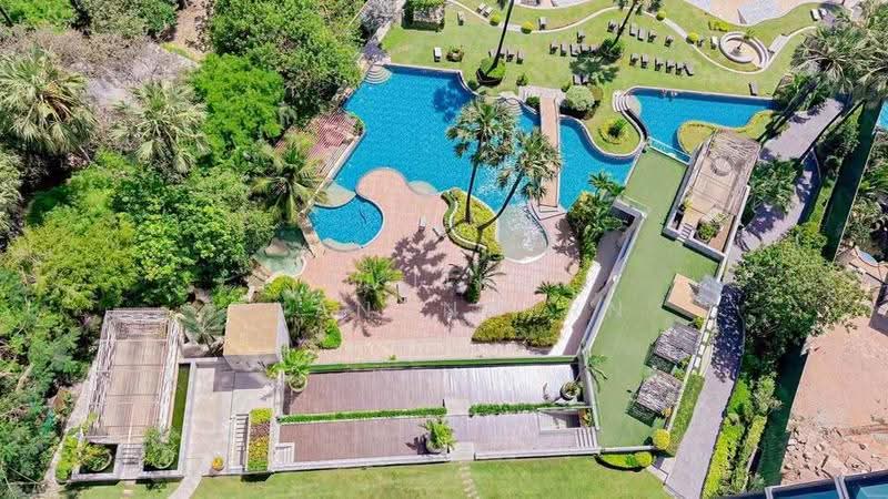 The Palm Wongamat Beach, chon-buri, Soi Naklua 16, Na Kloe, Bang Lamung (Pattaya), Chon Buri (Pattaya), 1 Bedroom, 53 sqm, Condo For Rent, by Sujika Puangngern, 500597760 - DDproperty.com