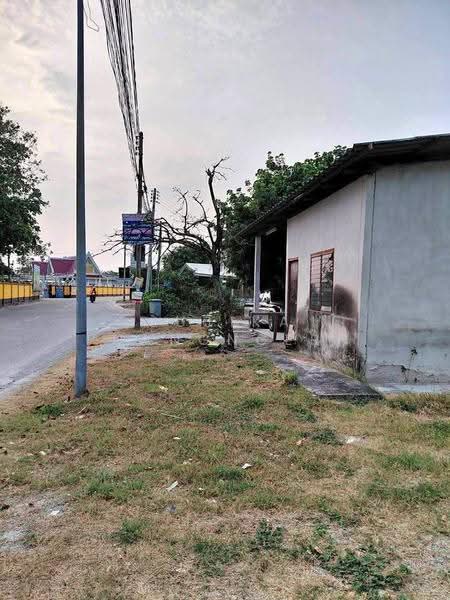 3-BR House, chon-buri, Samed, Muang Chon Buri, Chon Buri (Pattaya), 3 Bedrooms, 150 sqm, Single Detached House For Sale, by Sujika Puangngern, 500597904 - DDproperty.com
