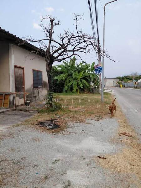 บ้าน 3-ห้องนอน, ชลบุรี, เสม็ด, เมืองชลบุรี, ชลบุรี, 150 ตร.ม., บ้านเดี่ยว ขาย, โดย Sujika Puangngern, 500597904 - DDproperty.com