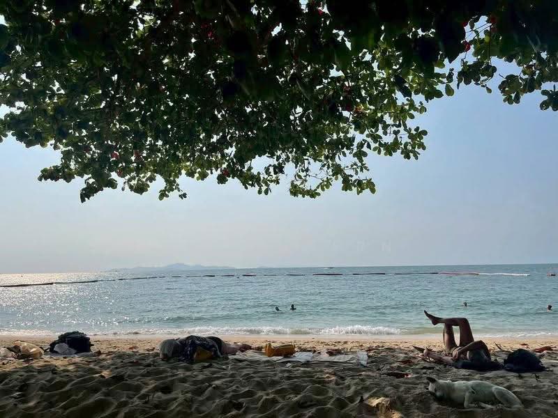 Zire Wongamat, chon-buri, 456 Soi Naklua 18, Na Kloe, Bang Lamung (Pattaya), Chon Buri (Pattaya), 2 Bedrooms, 99 sqm, Condo For Sale, by Sujika Puangngern, 500597921 - DDproperty.com