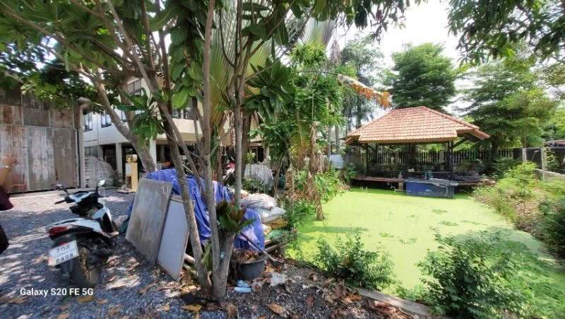 บ้านเดี่ยว พร้อมที่ดินธรรมชาติ ซอย ชมวิหค คลอง 5 พื้นที่ 2 งาน ราคาถูก, Pathum Thani, เลียบคลอง 5, Khlong Ha, Khlong Luang, Pathum Thani, 3 Bedrooms, 180 sqm, Single Detached House For Sale, by คุณบุญนำ ( นำ ), 500597967 - DDproperty.com