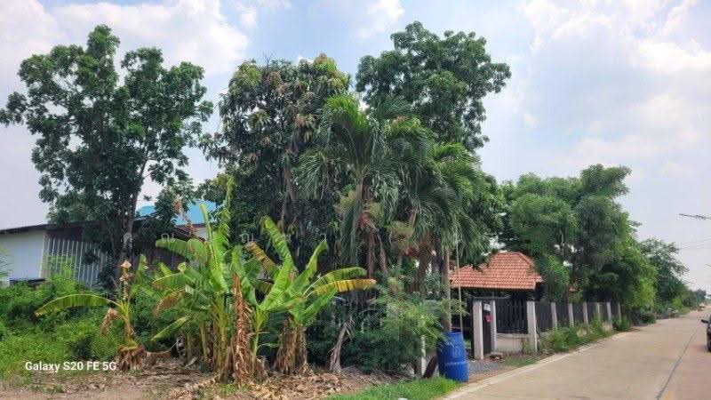 บ้านเดี่ยว พร้อมที่ดินธรรมชาติ ซอย ชมวิหค คลอง 5 พื้นที่ 2 งาน ราคาถูก, ปทุมธานี, เลียบคลอง 5, คลองห้า, คลองหลวง, ปทุมธานี, 180 ตร.ม., บ้านเดี่ยว ขาย, โดย คุณบุญนำ ( นำ ), 500597967 - DDproperty.com