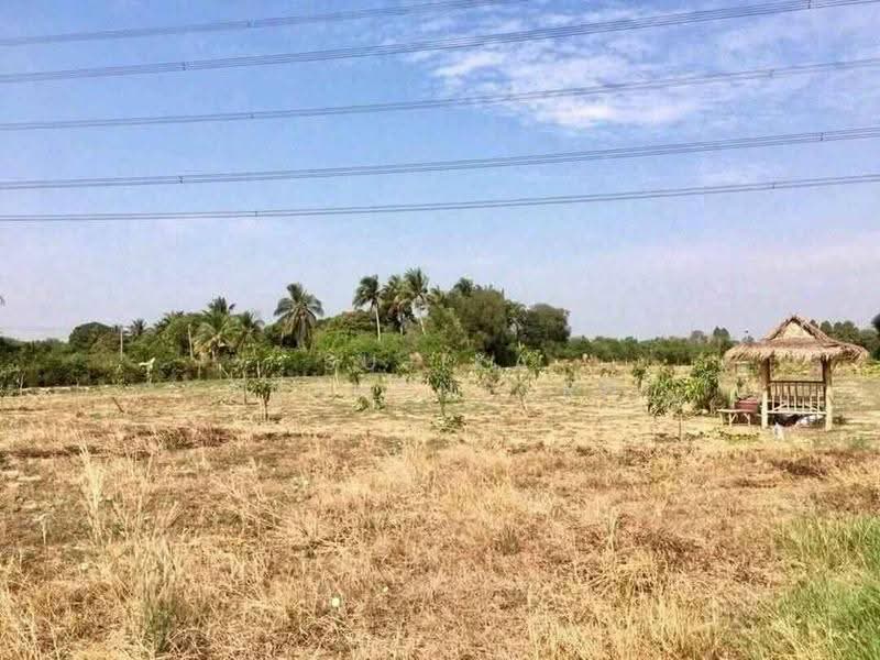 3-BR House, chon-buri, Phanat Nikhom, Chon Buri (Pattaya), 3 Bedrooms, 150 sqm, Single Detached House For Sale, by Sujika Puangngern, 500598004 - DDproperty.com