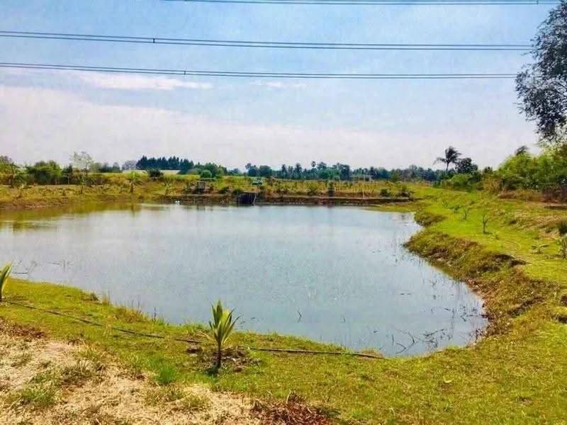 3-BR House, chon-buri, Phanat Nikhom, Chon Buri (Pattaya), 3 Bedrooms, 150 sqm, Single Detached House For Sale, by Sujika Puangngern, 500598004 - DDproperty.com