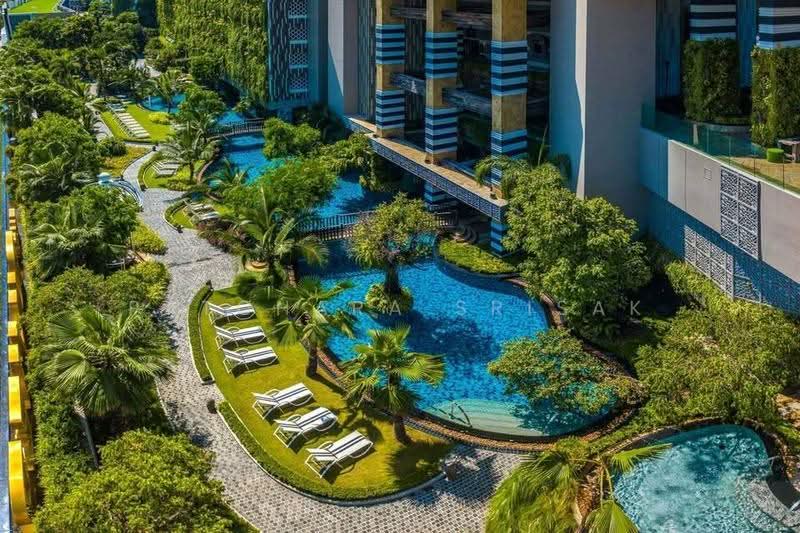 The Riviera Jomtien : เดอะ ริเวียร่า จอมเทียน, ชลบุรี, ถนนพัทยาสาย 2, หนองปรือ, บางละมุง, ชลบุรี, 50 ตร.ม., คอนโด ให้เช่า, โดย Patchara Srisak, 500598192 - DDproperty.com