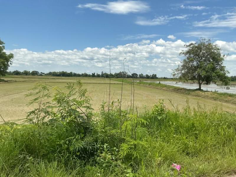 ที่ดินลับแล อุตรดิตถ์, uttaradit, Phai Lom, Laplae, Uttaradit, , 15,432 sqm, Land For Sale, by The Best Property นิด, 500598277 - DDproperty.com