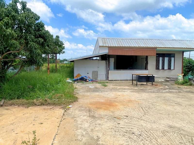 ที่ดินพร้อมสิ่งปลูกสร้างเมืองเก่า ขอนแก่น, khon-kaen, Muang Kao, Muang Khon Kaen, Khon Kaen, 4 Bedrooms, 200 sqm, Single Detached House For Sale, by The Best Property  นก, 500598475 - DDproperty.com