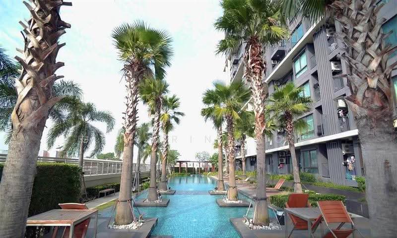 Casa Condo Asoke - Dindaeng, bangkok, 5801  Din Daeng Road, Din Daeng, Bangkok, 1 Bedroom, 31 sqm, Condo For Rent, by Getsarin Aron, 500598516 - DDproperty.com