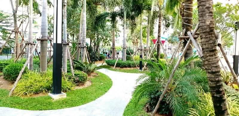 Dusit Grand Park, chon-buri, 384/206, Moo 12, Jomtiensaineung Road, Bang Lamung, Bang Lamung (Pattaya), Chon Buri (Pattaya), 1 Bedroom, 34 sqm, Condo For Sale, by Patchara Srisak, 500598534 - DDproperty.com
