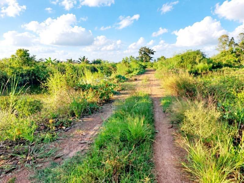 ที่ดินรัตนวาปี หนองคาย, หนองคาย, พระบาทนาสิงห์, รัตนวาปี, หนองคาย, 60,296 ตร.ม., ที่ดิน ขาย, โดย The Best Property เป้า, 500598665 - DDproperty.com