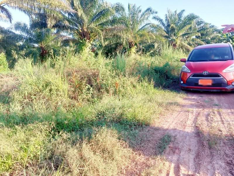 ที่ดินรัตนวาปี หนองคาย, หนองคาย, พระบาทนาสิงห์, รัตนวาปี, หนองคาย, 60,296 ตร.ม., ที่ดิน ขาย, โดย The Best Property เป้า, 500598665 - DDproperty.com