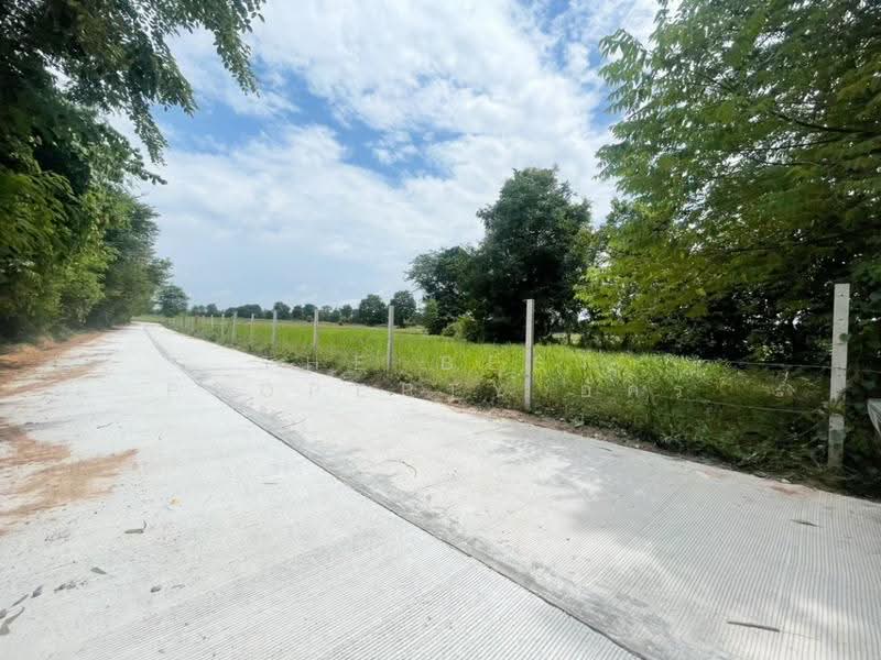 ที่ดินบ้านไผ่ ขอนแก่น, khon-kaen, Muang Fia, Ban Phai, Khon Kaen, , 6,863 sqm, Land For Sale, by The Best Property อัคร, 500598708 - DDproperty.com