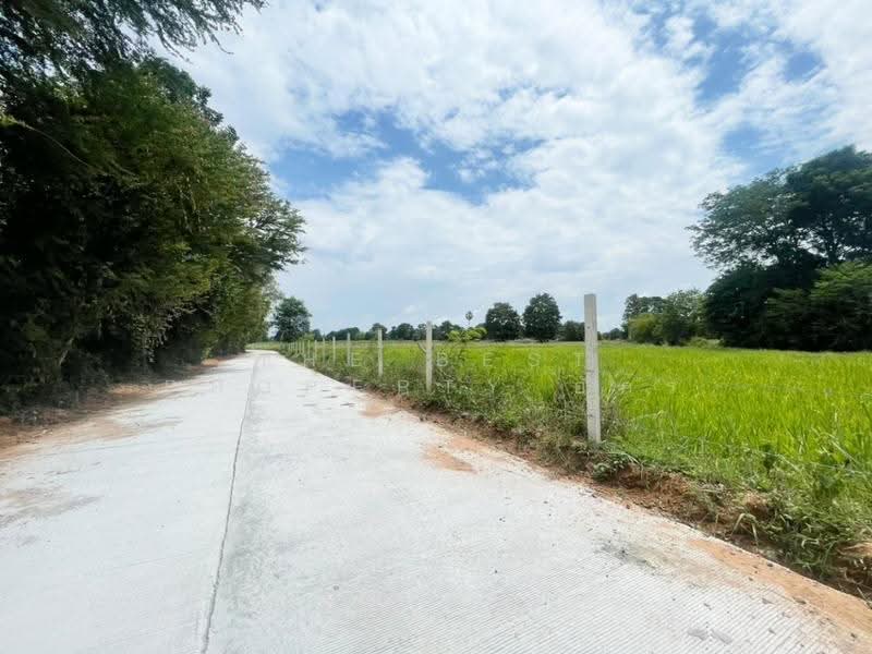 ที่ดินบ้านไผ่ ขอนแก่น, khon-kaen, Muang Fia, Ban Phai, Khon Kaen, , 6,863 sqm, Land For Sale, by The Best Property อัคร, 500598708 - DDproperty.com