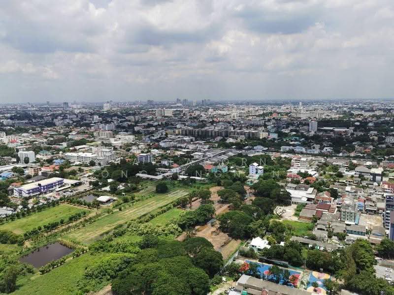 The Line Sukhumvit 101 : เดอะ ไลน์ สุขุมวิท 101, กรุงเทพ, 3009 สุขุมวิท 101, บางจาก, พระโขนง, กรุงเทพ, 33 ตร.ม., คอนโด ให้เช่า, โดย Pattaporn Yongsungnone, 500598790 - DDproperty.com