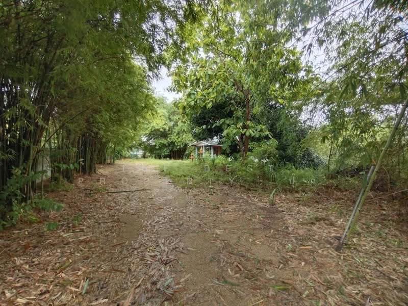 บ้านเดี่ยวสามชุก สุพรรณบุรี, สุพรรณบุรี, ย่านยาว, สามชุก, สุพรรณบุรี, 150 ตร.ม., บ้านเดี่ยว ขาย, โดย The Best Property ปุ๊ก, 500598795 - DDproperty.com