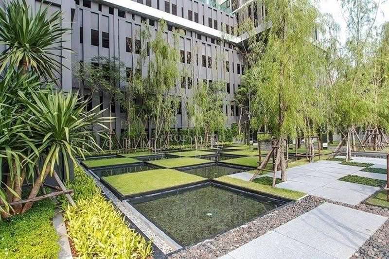 Aspire Sathorn-Thapra : แอสปาย สาทร - ท่าพระ, กรุงเทพ, 359 ถ.ราชพฤกษ์, บุคคโล, ธนบุรี, กรุงเทพ, 31 ตร.ม., คอนโด ให้เช่า, โดย PROPMATCH CO., LTD., 500598847 - DDproperty.com