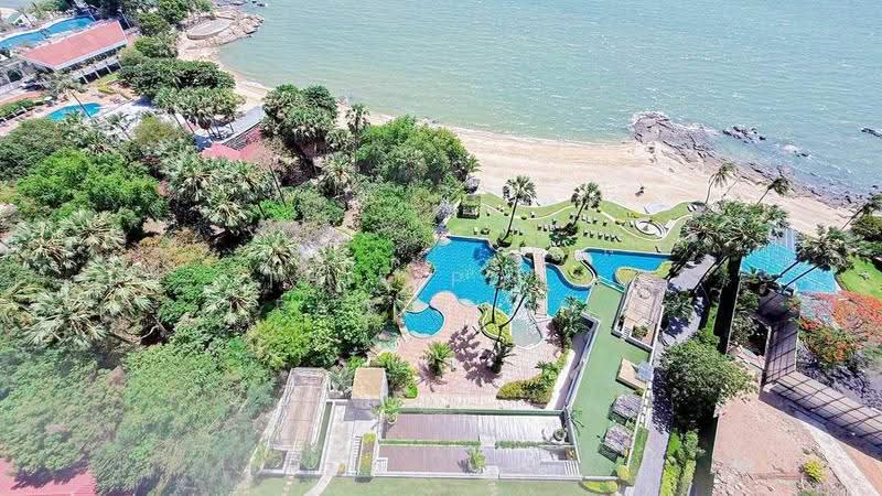 The Palm Wongamat Beach : เดอะ ปาล์ม วงศ์อมาตย์, ชลบุรี, ถนน ซอย นาเกลือ 16, นาเกลือ, บางละมุง, ชลบุรี, 53 ตร.ม., คอนโด ขาย, โดย Thitiporn Pawikham, 500598880 - DDproperty.com