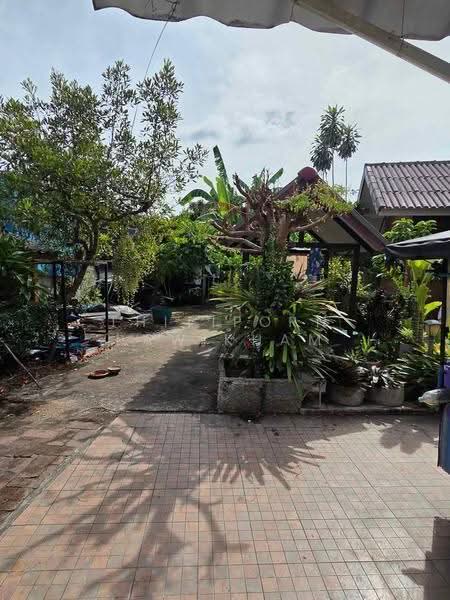 3-BR House, chon-buri, Huai Yai, Bang Lamung (Pattaya), Chon Buri (Pattaya), 3 Bedrooms, 263 sqm, Single Detached House For Sale, by Thitiporn Pawikham, 500598913 - DDproperty.com