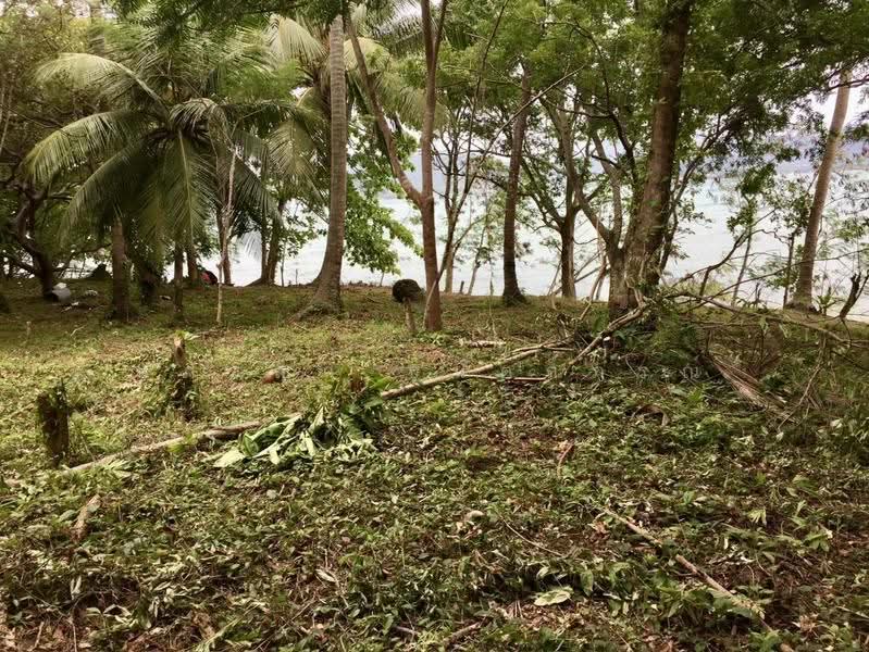 ที่ดินบนเกาะโหลน ภูเก็ต, phuket, Rawai, Muang Phuket, Phuket, , 56,000 sqm, Land For Sale, by ปภัชญา ธนัตถ์ภรณ์, 500598959 - DDproperty.com