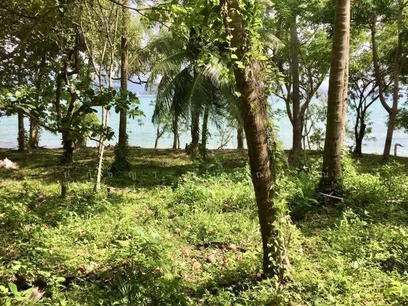 ที่ดินบนเกาะโหลน ภูเก็ต, ภูเก็ต, ราไวย์, เมืองภูเก็ต, ภูเก็ต, 56,000 ตร.ม., ที่ดิน ขาย, โดย ปภัชญา ธนัตถ์ภรณ์, 500598959 - DDproperty.com