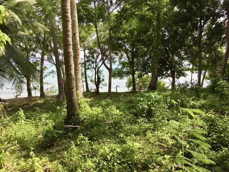 ที่ดินบนเกาะโหลน ภูเก็ต, phuket, Rawai, Muang Phuket, Phuket, , 56,000 sqm, Land For Sale, by ปภัชญา ธนัตถ์ภรณ์, 500598959 - DDproperty.com