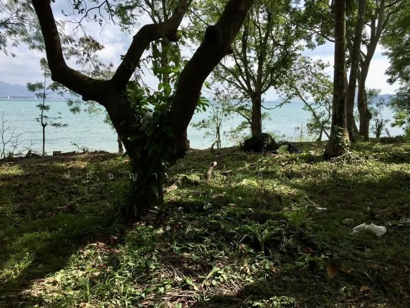 ที่ดินบนเกาะโหลน ภูเก็ต, phuket, Rawai, Muang Phuket, Phuket, , 56,000 sqm, Land For Sale, by ปภัชญา ธนัตถ์ภรณ์, 500598959 - DDproperty.com