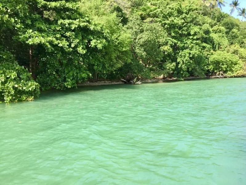 ที่ดินบนเกาะโหลน ภูเก็ต, phuket, Rawai, Muang Phuket, Phuket, , 56,000 sqm, Land For Sale, by ปภัชญา ธนัตถ์ภรณ์, 500598959 - DDproperty.com