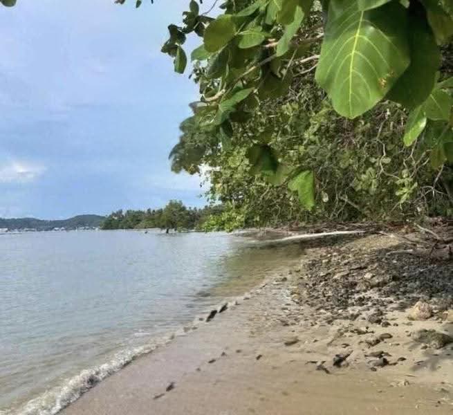 ที่ดินบนเกาะโหลน ภูเก็ต, phuket, Rawai, Muang Phuket, Phuket, , 56,000 sqm, Land For Sale, by ปภัชญา ธนัตถ์ภรณ์, 500598959 - DDproperty.com