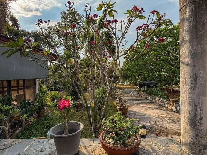 2-BR House, Chon Buri (Pattaya), Na Chom Thian, Sattahip, Chon Buri (Pattaya), 2 Bedrooms, 584 sqm, Single Detached House For Sale, by Sita Shrestha, 500599031 - DDproperty.com