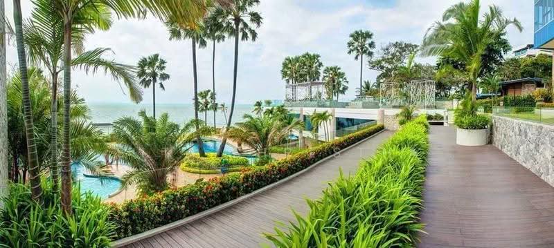 The Palm Wongamat Beach : เดอะ ปาล์ม วงศ์อมาตย์, ชลบุรี, ถนน ซอย นาเกลือ 16, นาเกลือ, บางละมุง, ชลบุรี, 53 ตร.ม., คอนโด ขาย, โดย Sita Shrestha, 500599063 - DDproperty.com