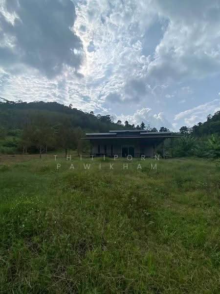 3-BR House, surat-thani, Pa Ron, Kanchanadit, Surat Thani, 3 Bedrooms, 150 sqm, Single Detached House For Sale, by Thitiporn Pawikham, 500599082 - DDproperty.com
