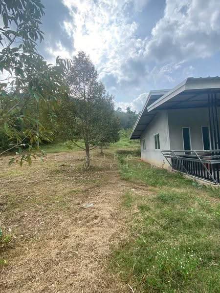 3-BR House, surat-thani, Pa Ron, Kanchanadit, Surat Thani, 3 Bedrooms, 150 sqm, Single Detached House For Sale, by Thitiporn Pawikham, 500599082 - DDproperty.com