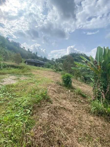 3-BR House, surat-thani, Pa Ron, Kanchanadit, Surat Thani, 3 Bedrooms, 150 sqm, Single Detached House For Sale, by Thitiporn Pawikham, 500599082 - DDproperty.com