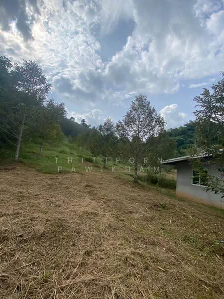 3-BR House, surat-thani, Pa Ron, Kanchanadit, Surat Thani, 3 Bedrooms, 150 sqm, Single Detached House For Sale, by Thitiporn Pawikham, 500599082 - DDproperty.com