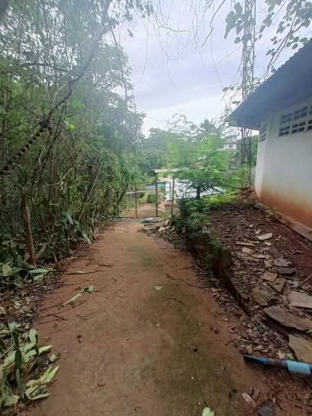 ที่ดินปากช่องโฉนดครุฑแดง น้ำไม่ท่วม ราคาดีมาก, nakhon-ratchasima, มิตรภาพ, Pak Chong, Nakhon Ratchasima, , 3,768 sqm, Land For Sale, by Mr Gon, 500599278 - DDproperty.com